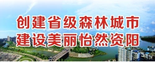 手机操屄网站创建省级森林城市 建设美丽怡然资阳